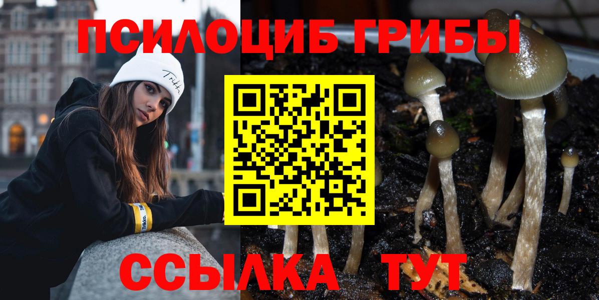 Галлюциногенные грибы GOLDEN TEACHER Борзя