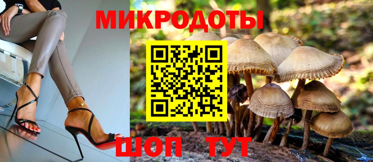 Борзя  Псилоцибиновые грибы мицелий  Вход с VPN  Псилоцибиновые грибы ЛСД 